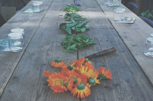 3 herbs to help mood swings