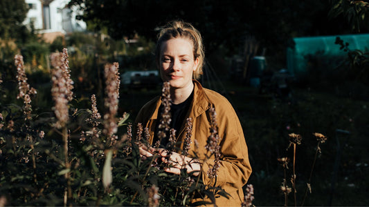 Are Herbs Safe?