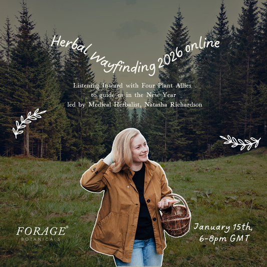 Herbal Wayfinding 2026 ONLINE