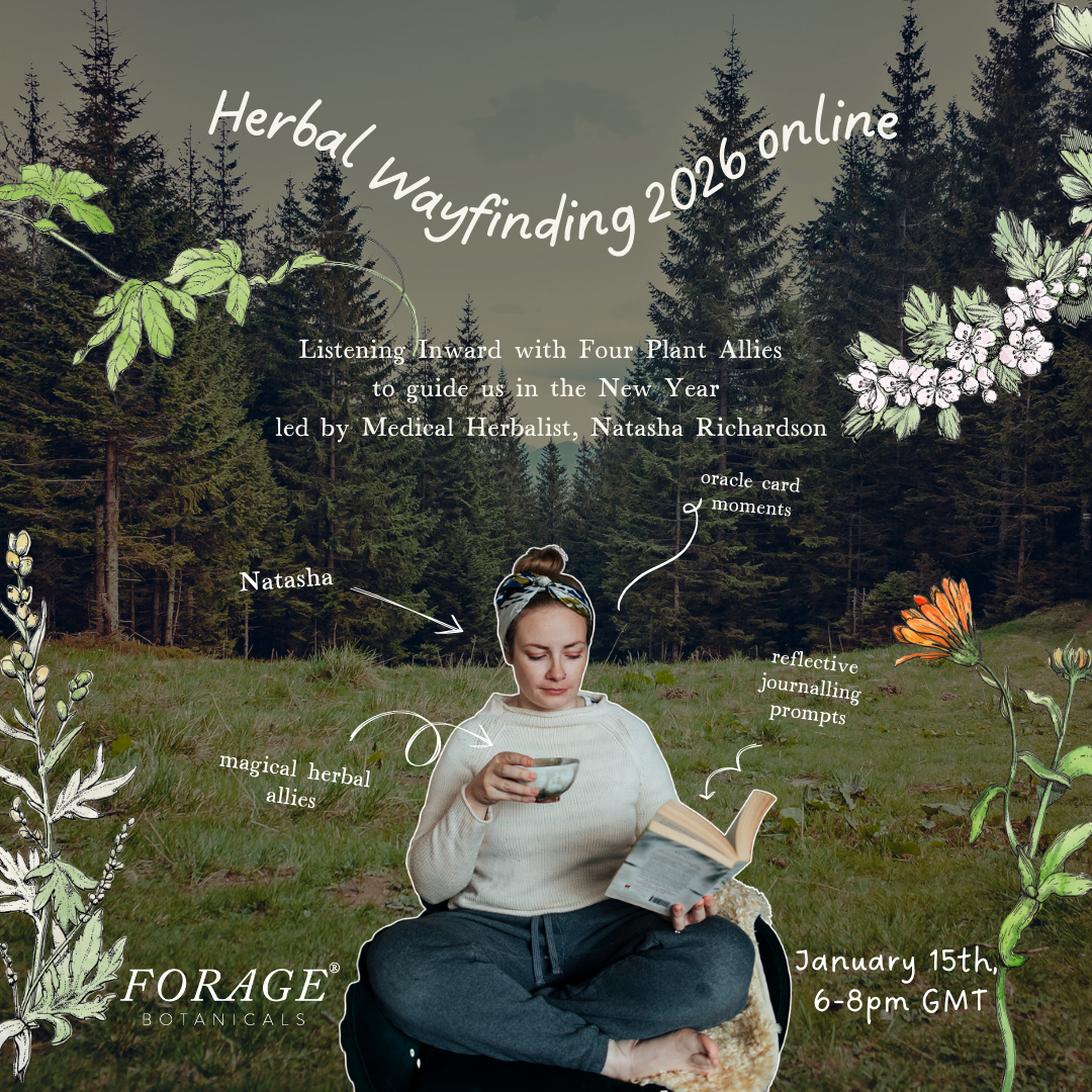 Herbal Wayfinding 2026 ONLINE