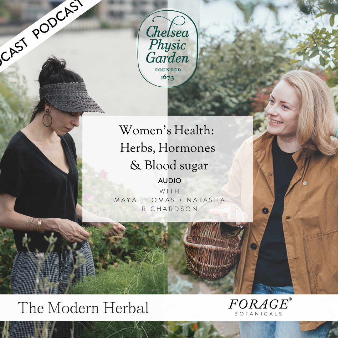 Blood sugar, herbs and hormones AUDIO